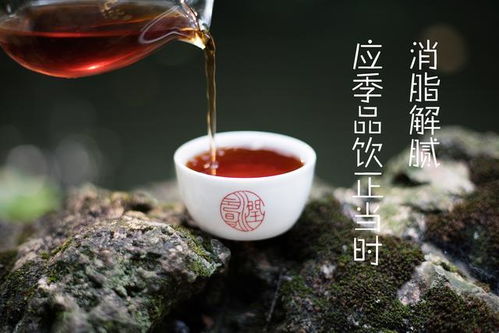 茶可養(yǎng)胃也可傷胃,胃不好該怎樣喝茶