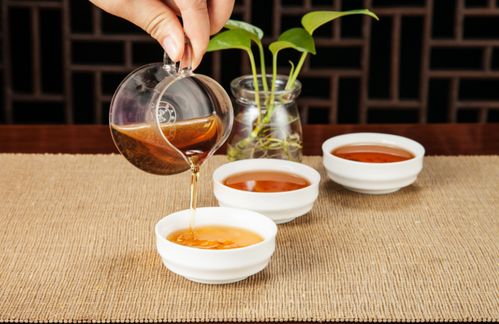 源產(chǎn)地茶葉銷(xiāo)售模式,引領(lǐng)行業(yè)楷模